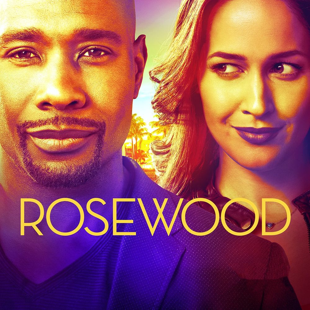 Rosewood-Season-2-artwork-FOX-TV-series.jpg