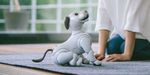 aibo-sony-2.jpg