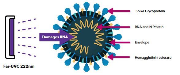 Así trabaja la luz ultravioleta frente al coronavirus. Fuente: Christie Digital (https://www.christiedigital.com/globalassets/landing-pages/care222/Christie-CounterAct-with-Care222-techbrief.pdf)