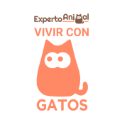 Gatos.png