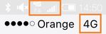 Fer_Orange_1-1708878092871.jpeg