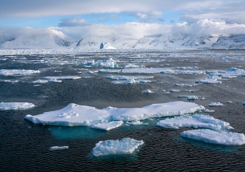 En otros sitios es invierno. Fuente: Tiempo (https://www.tiempo.com/noticias/ciencia/invierno-austral-antartida-tuvo-la-menor-capa-de-hielo-marino-calentamiento-global.html)