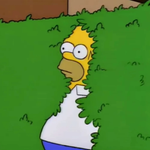 Espía disimuladamente. Fuente: Vulture (https://www.vulture.com/2019/06/simpsons-homer-backs-into-the-bushes-meme-gif.html)